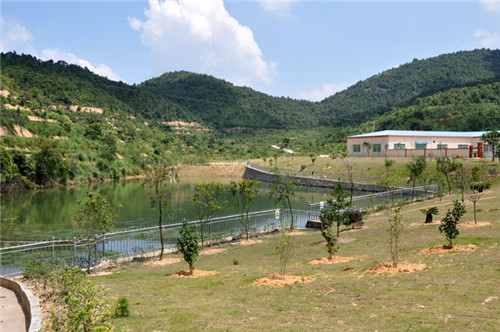 茶場(chǎng)基地